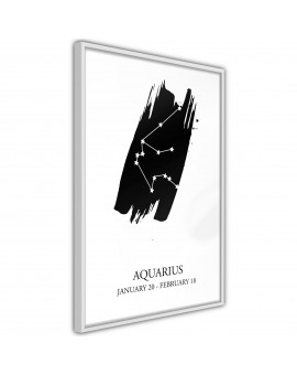 Zodiac: Aquarius I
