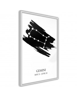 Zodiac: Gemini I