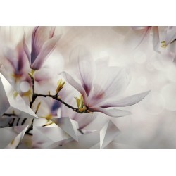 Fototapete - Subtle Magnolias - First Variant