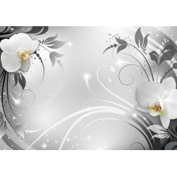 Fototapete - Orchids on silver