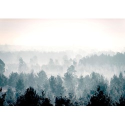 Fototapete - Winter Forest