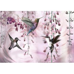 Fototapete - Flying Hummingbirds (Pink)