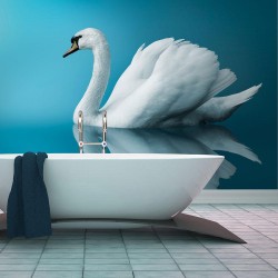 Fototapete - swan - reflection