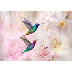 Fototapete - Colourful Hummingbirds (Pink)