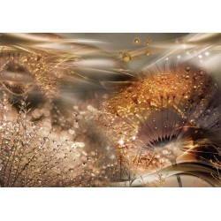 Fototapete - Dandelions World (Gold)