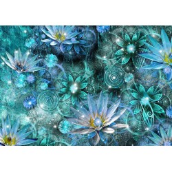 Fototapete - Water Lilies