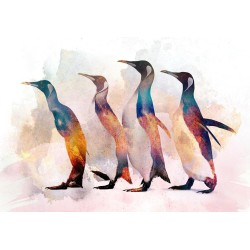 Fototapete - Penguin Wandering