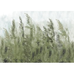 Fototapete - Tall Grasses - Green