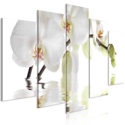 Leinwandbild - Wonderful Orchid (5 Parts) Wide