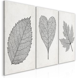 Leinwandbild - Minimalist Leaves (3 Parts)