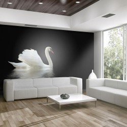 Fototapete - swan (black and white)