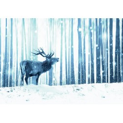 Fototapete - Winter animals - deer motif on a forest background in shades of blue