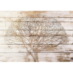 Fototapete - Tree on Boards