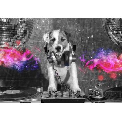 Fototapete - DJ Dog