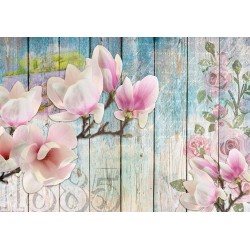 Fototapete - Pink Flowers on Wood