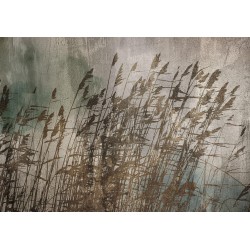 Fototapete - Water Grasses
