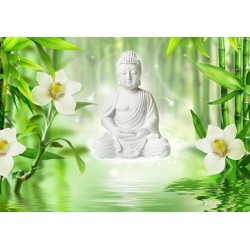 Fototapete - Buddha and nature
