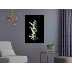 Leinwandbild - White Lilacs (1 Part) Vertical