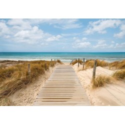 Fototapete - Vacation Landscape - Wooden Path Leading to the Tranquil Sea