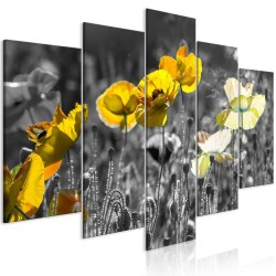 Leinwandbild - Yellow Poppies (5 Parts) Wide