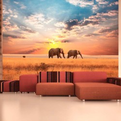 Fototapete - African savanna elephants