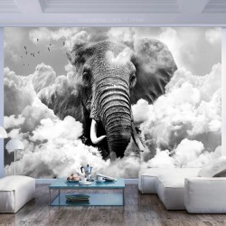 Fototapete - Elephant in the Clouds (Black and White)