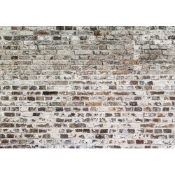 Fototapete - Old Walls