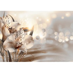 Fototapete - Creamy motif - lily flowers in morning glow on striped background