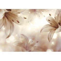 Fototapete - Floral motif - a composition of lilies on a background with a light glow effect