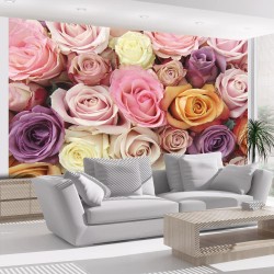 Fototapete - Pastel roses