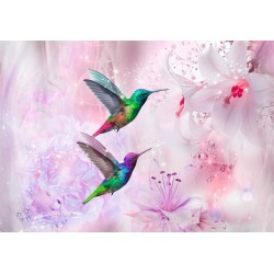 Fototapete - Colourful Hummingbirds (Purple)