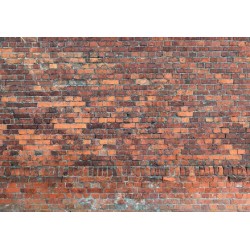 Fototapete - Vintage Wall (Red Brick)