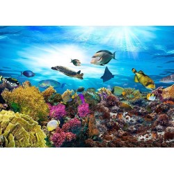 Fototapete - Coral reef