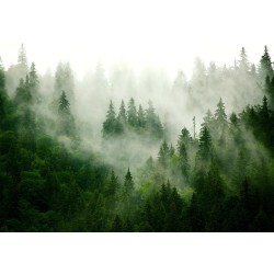 Fototapete - Mountain Forest (Green)