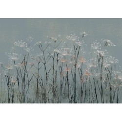 Fototapete - Garlic Flowers