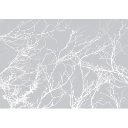 Fototapete - White Trees
