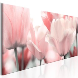 Leinwandbild - Pink Tulips