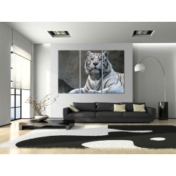 Leinwandbild - White tiger