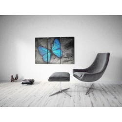 Leinwandbild - The study of butterfly - triptych