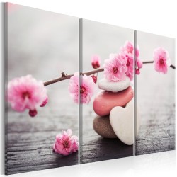 Leinwandbild - Zen: Cherry Blossoms II