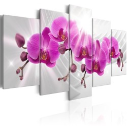 Leinwandbild - Abstract Garden: Pink Orchids