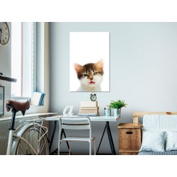 Leinwandbild - Cat Style (1-part) - Domestic Animal with a Touch of Wildness in Focus