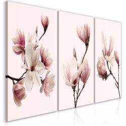 Leinwandbild - Spring Magnolias (3 Parts)
