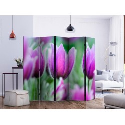 Paravent - Purple spring tulips II