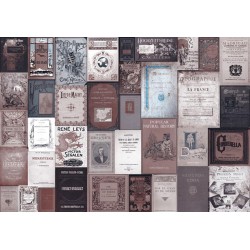 Fototapete - Vintage bookcase - romantic motif with book covers