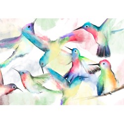 Fototapete - Watercolor Birds