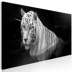 Leinwandbild - Shining Tiger (1 Part) Black and White Narrow