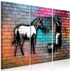 Leinwandbild - Washing Zebra - Colourful Brick (3 Parts)