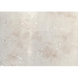 Fototapete - Flowing shapes - abstract beige and white background in patterned compositions