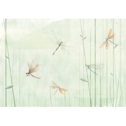 Fototapete - Dragonflies in the Meadow